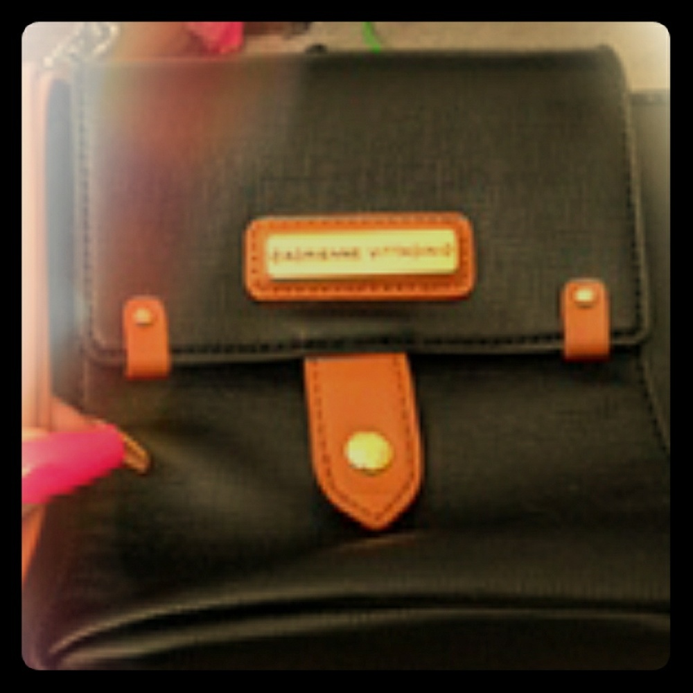Adrienne Vittadini bag